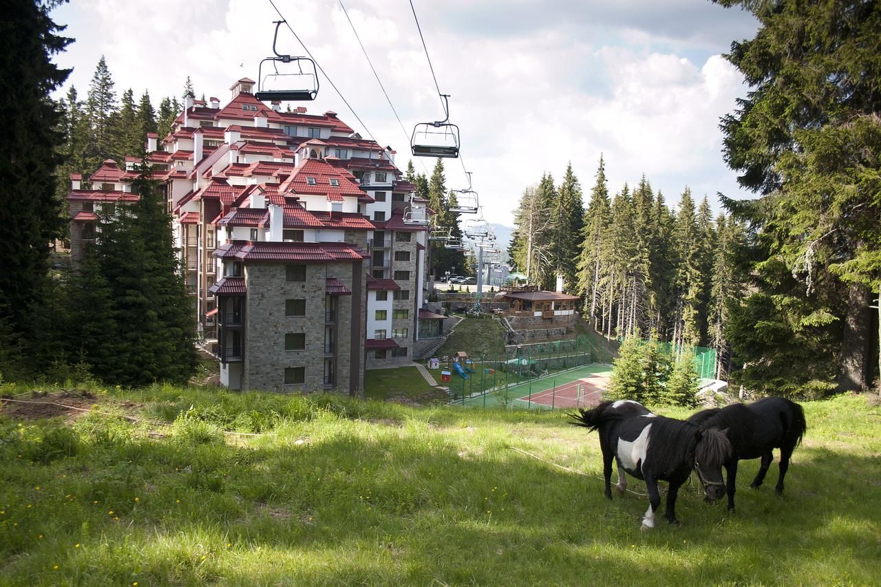 Апарт-отели Complex Kamelia Пампорово-12
